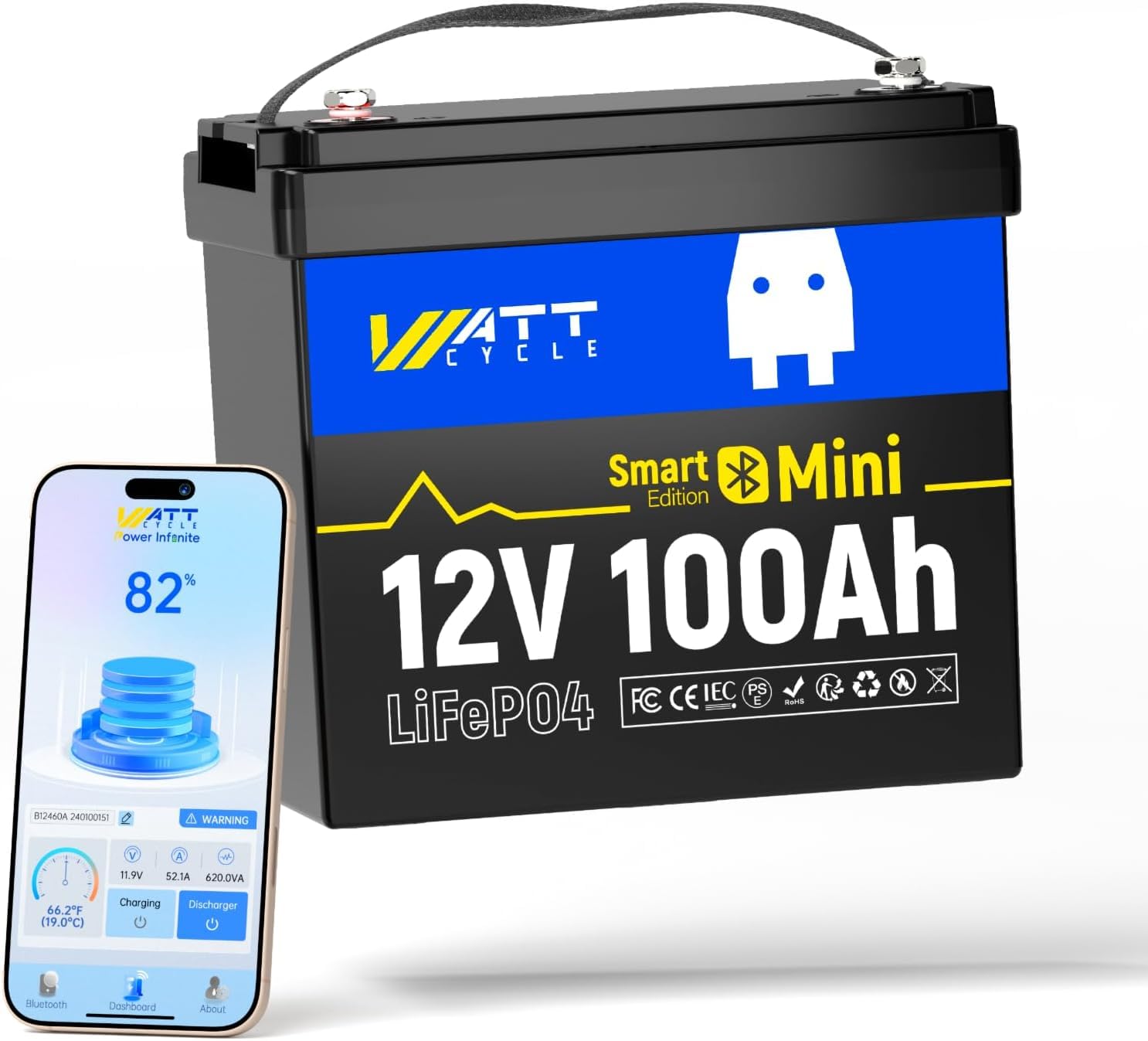 Lifepo4 12V 100Ah Bms Bluetooth - 12В 100Ач мини-аккумулятор LiFePO4, группа 24,