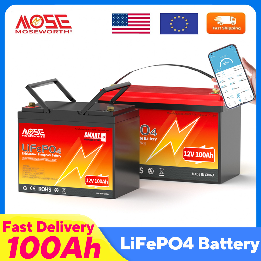 MOSEWORTH LiFePO4 12 В 100 Ач  – обзор и цена Lifepo4 12V 100Ah Bms Bluetooth